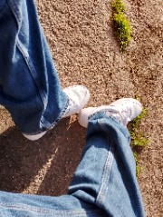 Serena🎀✨'s avatar