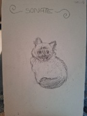 Un Panda Artiste 🐼's avatar