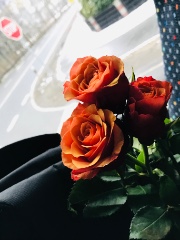 𝙻𝚞𝚗𝚊 🌸🌵🌺's avatar