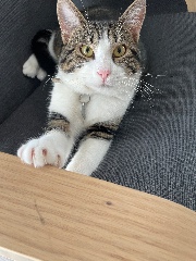 ❤️Juliette❤️'s avatar