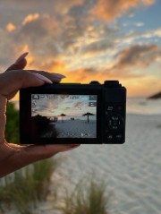 Holidays_liens 's avatar