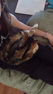 🎄❄️ Nana ❄️🎄's avatar