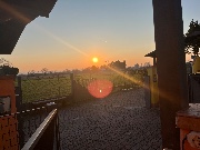 sofiii❤️🫶🏻's avatar