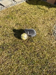 Stella🤾‍♀️'s avatar