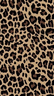 Kkd’amr💕's avatar