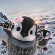 Study Cafe ☕️'s avatar