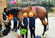 💖✨️Notre Duo À Cheval🐴🌸's avatar