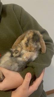 Giorgia🪐🧸's avatar