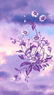 Elodie 😈's avatar