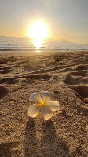 Lou2011🎀's avatar