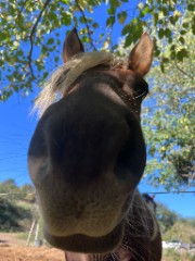 Iris ✨️'s avatar