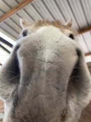 🌸🎀Amy🎀🌸's avatar