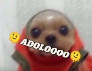 ELLA❤️‍🔥🍣's avatar