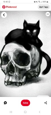 🫀🪼ALI🪼🫀's avatar