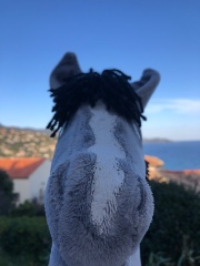 ✨🎀Lisou&Jupiter🎀✨'s avatar