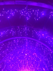 💡 try it with me 💡's avatar