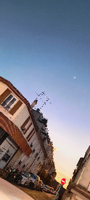 •Reblochon•'s avatar