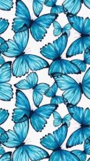 Segui i tuoi sogni's avatar