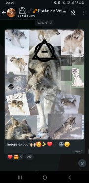 Colyne 🦋 's avatar