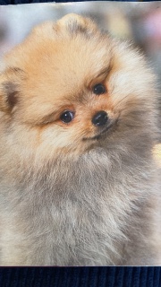 Anaïs😜💖's avatar