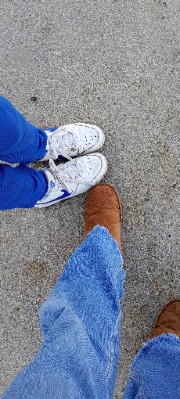 Miss panda 's avatar