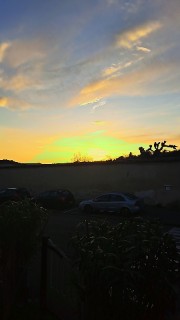 Michelle (julie)🤓's avatar