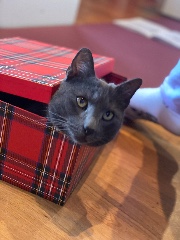 𝐌𝐚𝐭𝐢𝐥𝐝𝐞's avatar