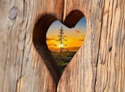 Emma 🫶🏻's avatar