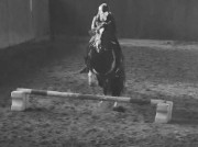 Lallaa🖤🌟's avatar