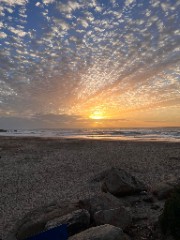 ☾︎♫︎✿︎ʕ•ᴥ•ʔ✿︎♫︎☽︎'s avatar