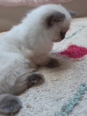  😀 Céleste 😊's avatar