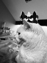 Sundayetmoi's avatar