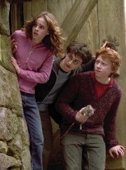 Federica 💙💙's avatar