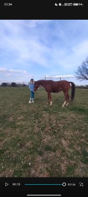 Mimi_and_me's avatar