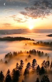 💗Retten wir die Welt 🌍 's avatar