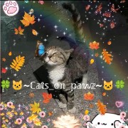 Luna🐱🌷's avatar