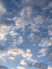 Manon 🌺🌷's avatar