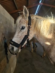 Loulou3114🥰😍❤️‍🔥's avatar