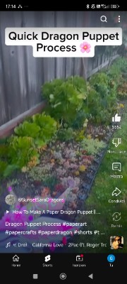 🌘🌑Katys✨🐾's avatar