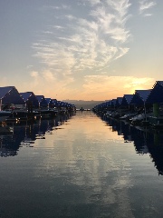 Loupie 🩵's avatar