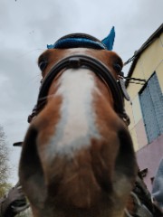 Clio&Babar&Titi's avatar