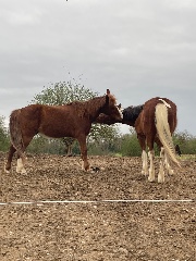 Giulia’✞'s avatar