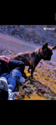 Chloé ❤️✨'s avatar