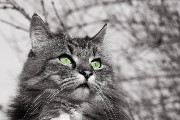 anon-5WPXXmess's avatar