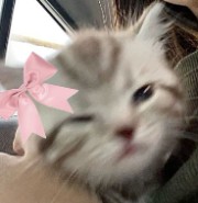 ֶָ֢⊹𐙚★~katcafe♱⟡ ݁₊ .Ita's avatar