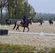 Mimi La souris 🐁 😊's avatar