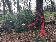 EdensZero ✨❤️'s avatar