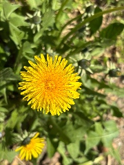 𝓗𝓸𝓽𝓭𝓸𝓰's avatar