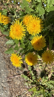 𝓗𝓸𝓽𝓭𝓸𝓰's avatar