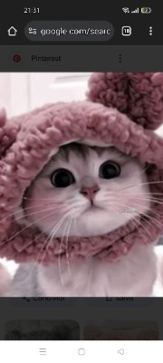 Gio🌸🌺's avatar